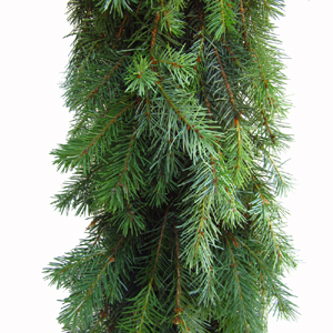 Douglas Fir Garland